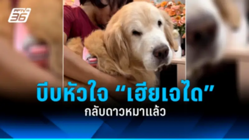 สภาผู้บริโภคยื่นหนังสือถึงนายกฯ เร่งแก้ปัญหาราคาน้ำมันแพง