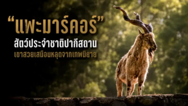 ดราม่าไฟไหม้บ้านเศรษฐี จุดเริ่มต้นจากปมขัดแย้งในครอบครัว