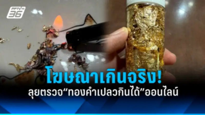 เตือนภัย! ไข้เลือดออกสายพันธุ์ใหม่ ระบาดหนัก อาการรุนแรงกว่าเดิม