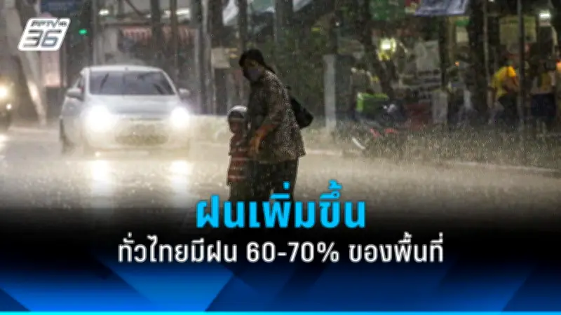 พายุถล่มปทุมธานี ต้นไม้ล้มทับรถยนต์เสียหายหลายคัน