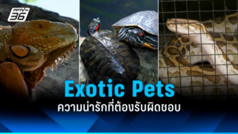 เกิดไฟไหม้โรงงานพลาสติกในสมุทรปราการ เจ้าหน้าที่เร่งควบคุม