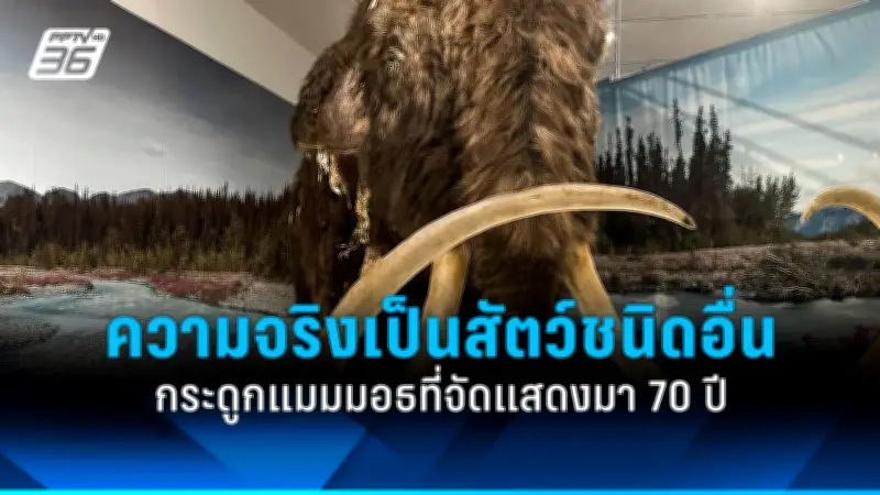 จีนจับมืออาเซียนกระชับความร่วมมือทางเศรษฐกิจ