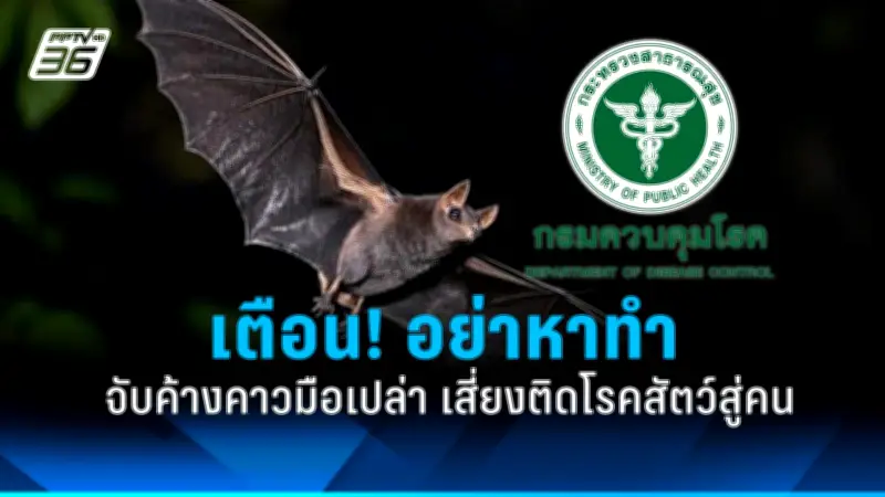 เปิดสาเหตุโรคหลอดเลือดสมอง ปัจจัยเสี่ยงที่ต้องรู้
