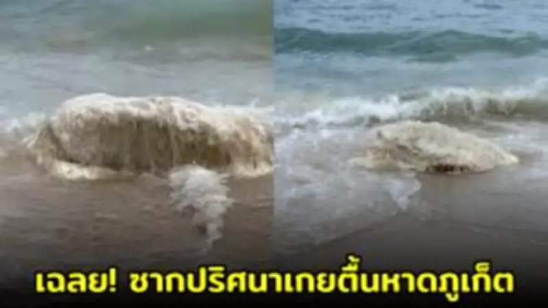 เปิดตัวรถยนต์ไฟฟ้ารุ่นใหม่ประหยัดพลังงานสุดล้ำ
