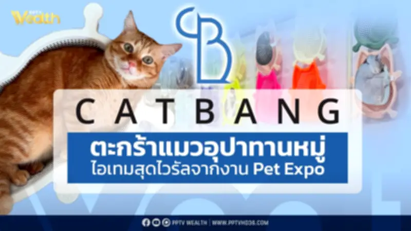 Catbang ตะกร้าแมวสุดไวรัล ปรากฏการณ์อุปาทานหมู่ใน Pet Expo
