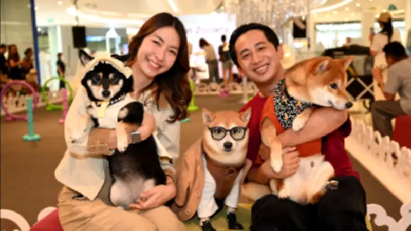 ฟิวเจอร์พาร์ค-สเปลล์ เปิด Pet Zociety ดินแดนคนรักสัตว์เลี้ยงครบวงจร