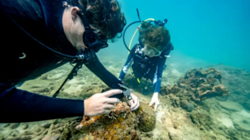 Rolex ปักหมุดอ่าวไทย เปิดองค์กร Coral Gardeners ต้นแบบอนุรักษ์ปะการัง
