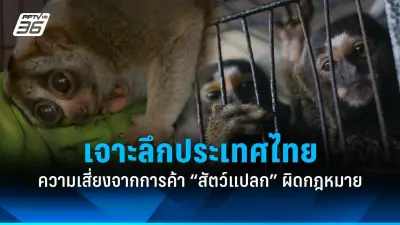 คดีดัง! หนุ่มเมาแล้วขับชนคนตายศาลสั่งจำคุก 10 ปี