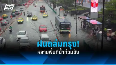 ชวนดูฝนดาวตกเจมินิดส์ คืน 13-14 ธ.ค. 67 สวยที่สุดแห่งปี