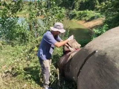 คลื่นซัดเรือประมงล่มในทะเลระนอง ชาวประมง 2 คนจมน้ำสูญหาย