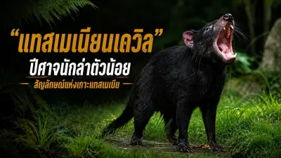 ประกันสังคมจ่ายเยียวยาเงินสมทบ 2568 เริ่มแล้วเช็กสิทธิ์ด่วน