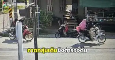 หน่วยพิทักษ์อุทยานฯ นาทวี ยิงปะทะคนตัดไม้พะยูง เจ็บ 3 ถูกจับ 2