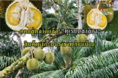 เปิดใจหนุ่มใต้เก็บสลากดิจิทัล 30 ใบส่งคืนเจ้าของ รับบุญใหญ่ชีวิต