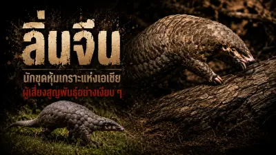 เปิดตัวรถยนต์ไฟฟ้ารุ่นใหม่จากจีน ราคาไม่ถึง 5 แสนบาท