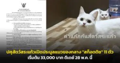 ธปท.เผยยอดส่งออกเม.ย.67 หดตัว 1.7% เหตุเศรษฐกิจคู่ค้าชะลอตัว