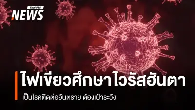 คณะกรรมการโรคติดต่อฯ เห็นชอบศึกษา 'ไวรัสฮันตา' เป็นโรคติดต่ออันตราย