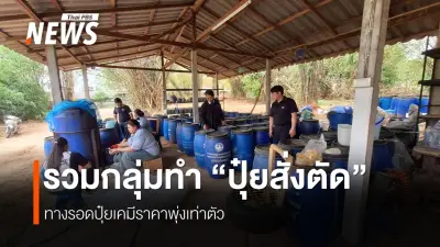 วิกฤตปุ๋ยแพง! เกษตรกรเชียงใหม่หันพึ่งปุ๋ยอินทรีย์และน้ำหมักชีวภาพลดต้นทุน