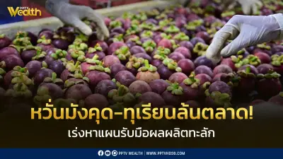 พาณิชย์เร่งถกทุกภาคส่วนพยุงราคามังคุด-ทุเรียนรับมือผลผลิตล้นตลาด