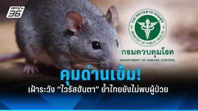 เตือนภัย! โรคพิษสุนัขบ้าระบาดหนัก ฤดูร้อนเสี่ยงติดเชื้อสูง