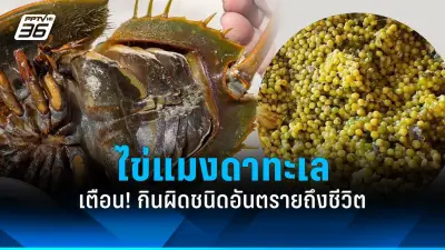 หมอเตือน! อาหารแปรรูปเสี่ยงโรคอ้วนและเบาหวาน
