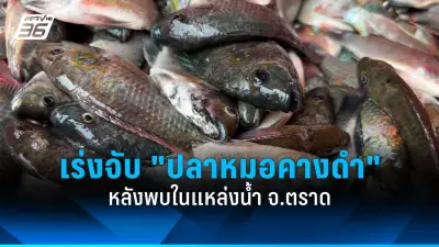 แอปฯ คนรักน้องหมาน้องแมว ผุดโปรเจกต์พาน้องไปเที่ยววัดดัง