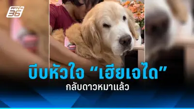 สภาผู้บริโภคยื่นหนังสือถึงนายกฯ เร่งแก้ปัญหาราคาน้ำมันแพง