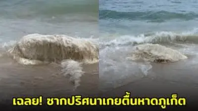 เปิดตัวรถยนต์ไฟฟ้ารุ่นใหม่ประหยัดพลังงานสุดล้ำ