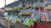 รัฐบาลชวนรถพุ่มพวงร่วมโครงการไทยช่วยไทย ลดต้นทุนค่าน้ำมัน สมัครด่วน 1-7 พ.ค.
