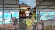 จับแก๊งคอลเซ็นเตอร์ข้ามชาติ หลอกเหยื่อสูญเงินกว่า 100 ล้านบาท