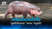 แจกเงินดิจิทัลวอลเล็ต 10,000 บาท เฟสแรกเริ่ม 1 ต.ค. นี้
