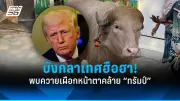 สหรัฐฯ อนุมัติส่งอาวุธมูลค่า 1.5 พันล้านดอลลาร์ให้ยูเครน