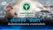 ไขข้อสงสัย! วัคซีนโควิด-19 กับไข้เลือดออก ฉีดติดกันได้หรือไม่