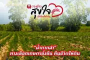 โครงการประกันสังคมปรับเพิ่มค่าคลอดบุตรเป็น 2 ครั้ง ครอบคลุมสิทธิมากขึ้น