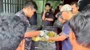 ทหาร-ตร.บุกยึดยาบ้า 20 ล้านเม็ด ไอซ์เกือบ 2 ตัน ซ่อนโกดังเลย
