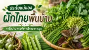 ตำรวจสอบเครียดส่องกล้องสาววัย 24 ดับปริศนาคาห้องน้ำ