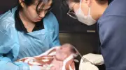 แม่วัย 24 คลอดลูกกลางรถกู้ภัย คอหวยแห่ส่องเลขเด็ด