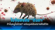 กรมควบคุมโรค เผยสถานการณ์โรคไข้เลือดออกปี 2568 พบผู้ป่วยเพิ่มขึ้น