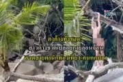 ปราจีนบุรีเปิดจุดตรวจความปลอดภัยรับสงกรานต์ 2569 คุมเข้มอุบัติเหตุ