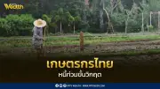 วิจัยชี้หนี้เกษตรกรไทยพุ่งสูง 3 เท่า ติดกับดักจ่ายแต่ดอกเบี้ย