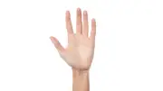 ดูลายมือคนรวย เช็ก 3 เส้นวาสนาพารับทรัพย์ คนจะรวยต้องมีเส้นไหน?