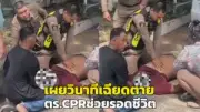 พายุถล่มนครศรีธรรมราช ต้นไม้ล้มทับรถเสียหาย 3 คัน