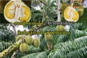 เปิดใจหนุ่มใต้เก็บสลากดิจิทัล 30 ใบส่งคืนเจ้าของ รับบุญใหญ่ชีวิต