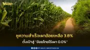 วราวุธชูความสำเร็จลดเผาอ้อยเหลือ 3.8% ต่ำติดอันดับโลก ตั้งเป้าสู่อ้อยไทยไร้เผา 0.0%