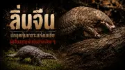 เปิดตัวรถยนต์ไฟฟ้ารุ่นใหม่จากจีน ราคาไม่ถึง 5 แสนบาท