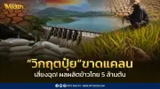 จับตาวิกฤตปุ๋ย เสี่ยงฉุดผลผลิตข้าวไทยหาย 5 ล้านตัน