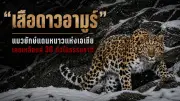 เปิดตำรับอาหารเพื่อสุขภาพ 5 เมนูเด็ดเสริมภูมิคุ้มกัน