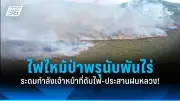 หนุ่มร้องถูกแฟนสาวหลอกขายกระเป๋าแบรนด์เนมปลอม เสียหายกว่า 6 แสน