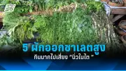 เปิด 7 วิธีลดเสี่ยงโรคหัวใจในผู้หญิง ป้องกันก่อนสาย