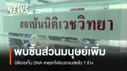 นิติเวชเผยเก็บดีเอ็นเอผู้เสียชีวิตเหตุรถไฟชนรถเมล์แล้ว 7 ครอบครัว คาดรับศพวันพุธนี้