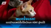 อังกฤษเตรียมออกกฎหมายใหม่ควบคุม AI เสริมสร้างความปลอดภัย